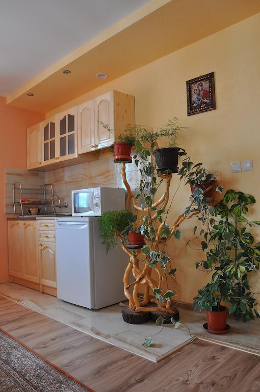 Guest House Eli Sapareva Banya Δωμάτιο φωτογραφία